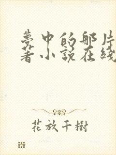 梦中的那片海原著小说在线阅读