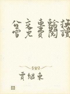 公交车轮换C程雪免费阅读