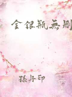 金银瓶无删除