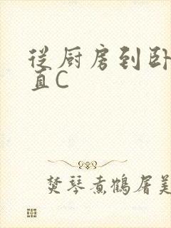 从厨房到卧室一直C