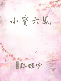 小宝六凤