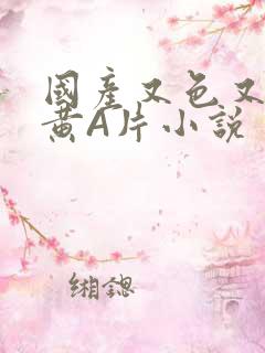 国产又色又爽又黄A片小说