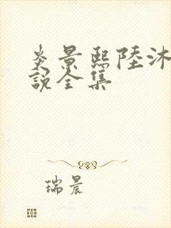 炎景熙陆沐擎小说全集