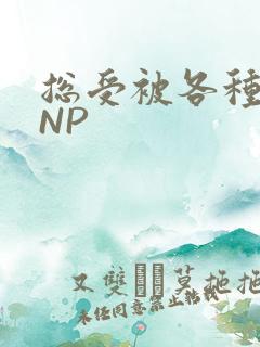 总受被各种姿势NP