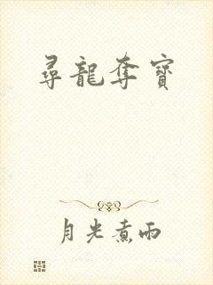 寻龙夺宝