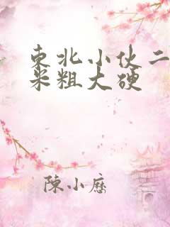 东北小伙二十厘米粗大硬