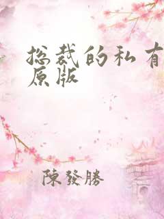 总裁的私有宝贝原版