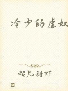 冷少的虐奴
