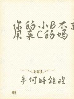 你的小B不就是用来C的吗