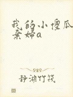 我的小傻瓜by弃妇a
