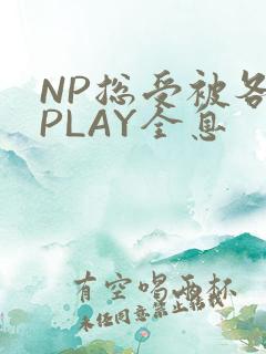 NP总受被各种PLAY全息