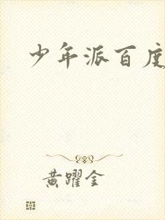 少年派百度百科