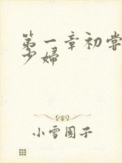 第一章初尝极品少妇