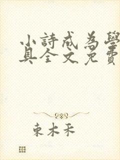 小诗成为学校教具全文免费阅读无弹窗