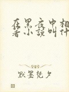 在黑夜中相拥原著小说叫什么