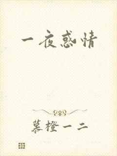 一夜惑情