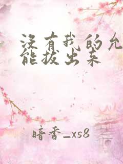 没有我的允许不能拔出来