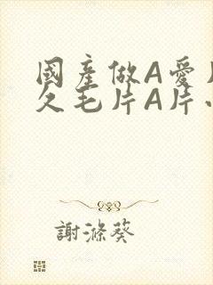 国产做A爱片久久毛片A片小说