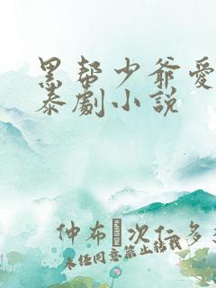 黑帮少爷爱上我泰剧小说