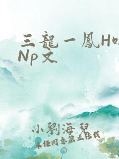 三龙一凤H啪肉Np文