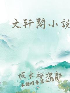 文轩阁小说网