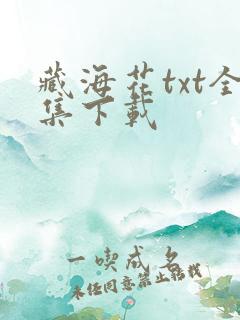 藏海花txt全集下载