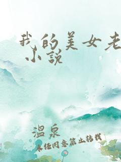 我的美女老婆们 小说