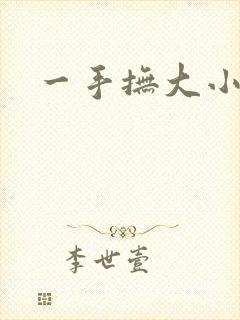 一手抚大小说