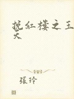 挽红楼之玉舞九天