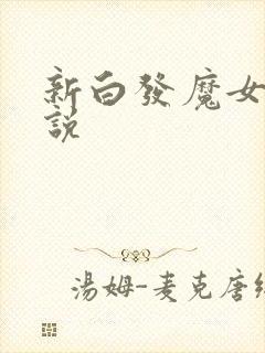 新白发魔女传小说
