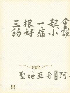 三根一起会坏掉的好痛小说