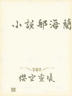 小说那海兰珠