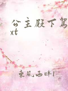 公主殿下驾到txt