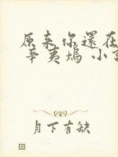 原来你还在这里 辛夷坞 小说