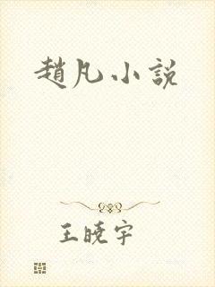 赵凡小说