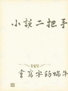 小说二把手