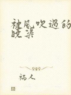 被风吹过的夏天晓渠