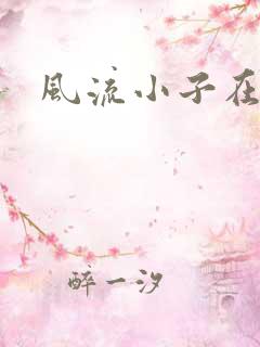 风流小子在异世