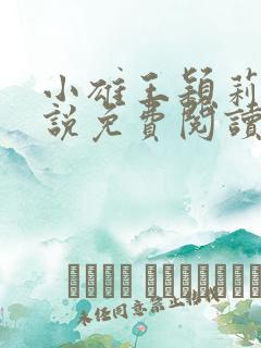 小雄王颖莉的小说免费阅读全文