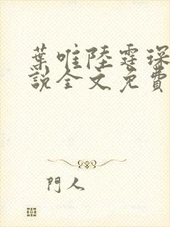 叶唯陆霆琛的小说全文免费阅读