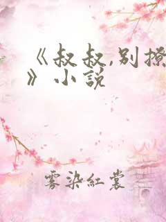 《叔叔,别撩我》小说