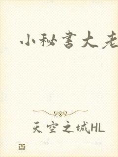 小秘书大老婆