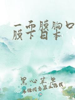 一面膜胸口一面膜下日本