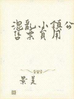 混乱小镇公交车售票员用