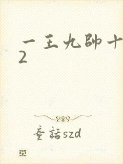 一王九帅十二宫2