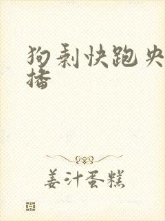 狗剩快跑央八首播