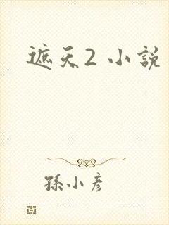 遮天2 小说