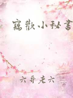窃欢小秘书