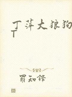 丁萍大狼狗TXT