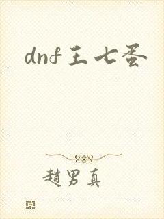 dnf王七蛋